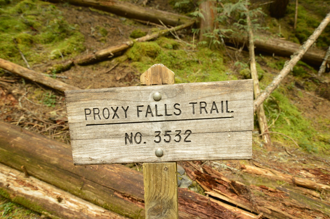 Sign for Proxy Falls trail no. 3532