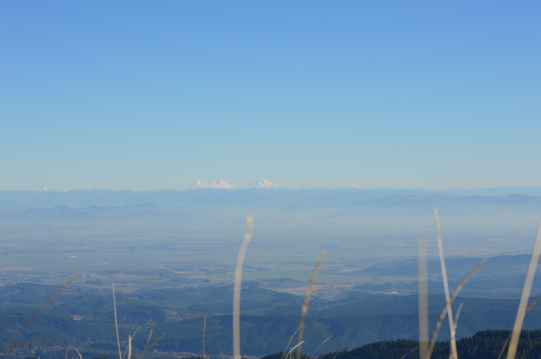 Mary's Peak summit view of the Cascade mountains