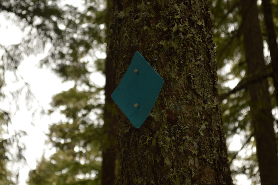 Blue diamond on the tree marks the trail in the winter