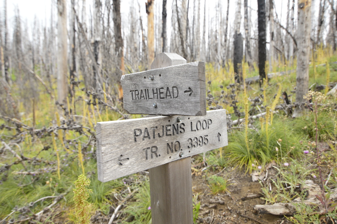 A sign along the Patjens Lakes trail