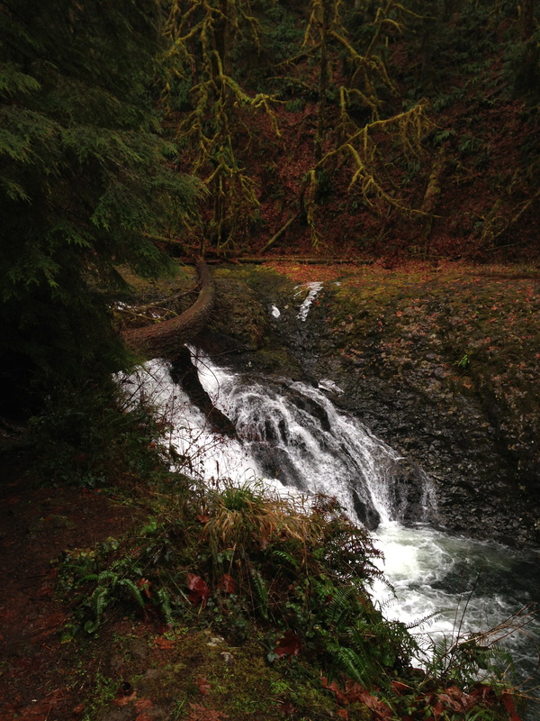 Twin Falls along the hiking trail at Silver Falls state park