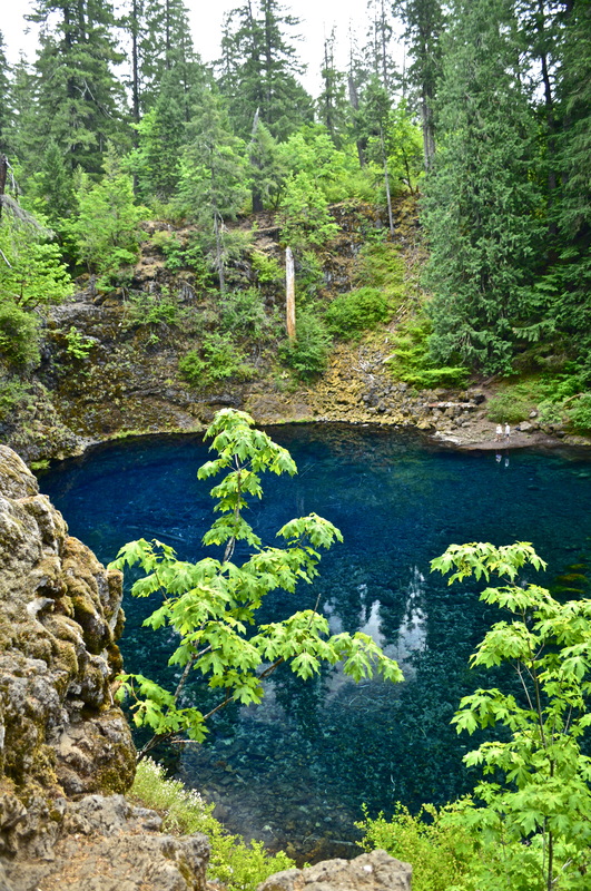Blue Pool, top 10 Oregon hikes for kids