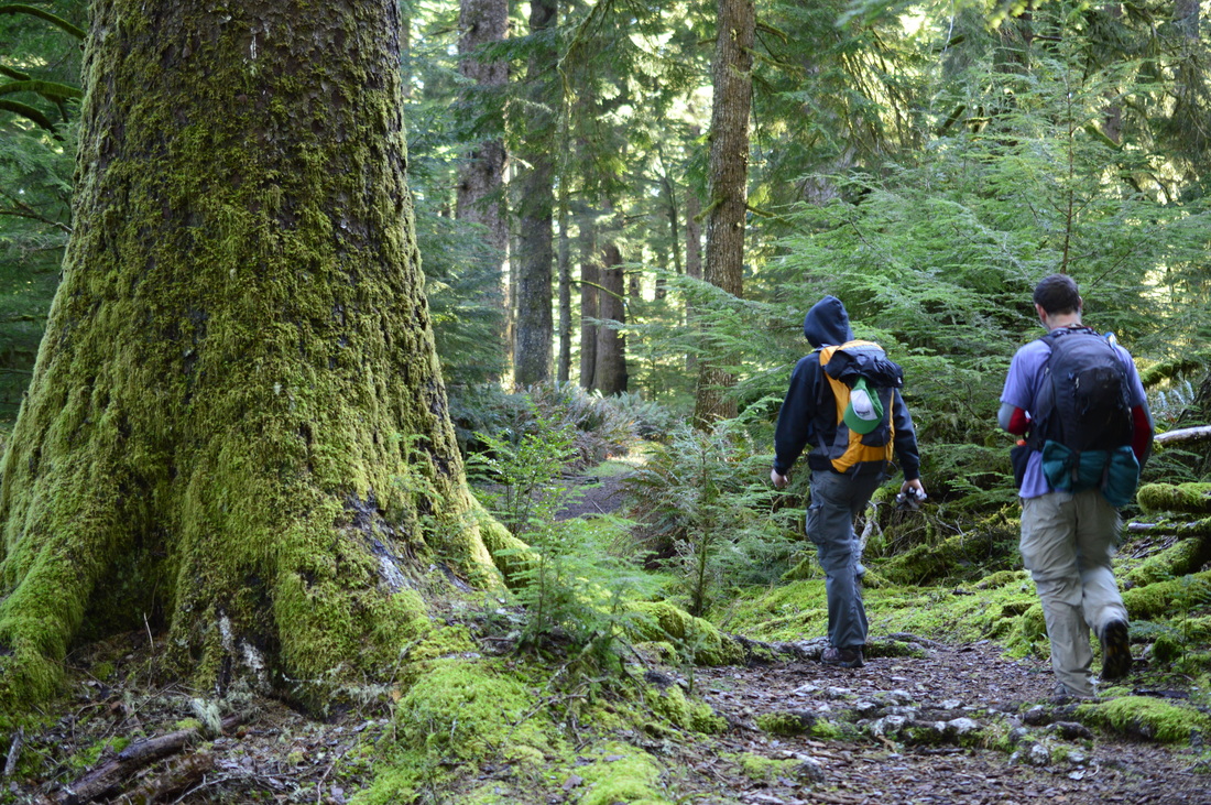 Gwynn Creek, top 10 Oregon winter hikes