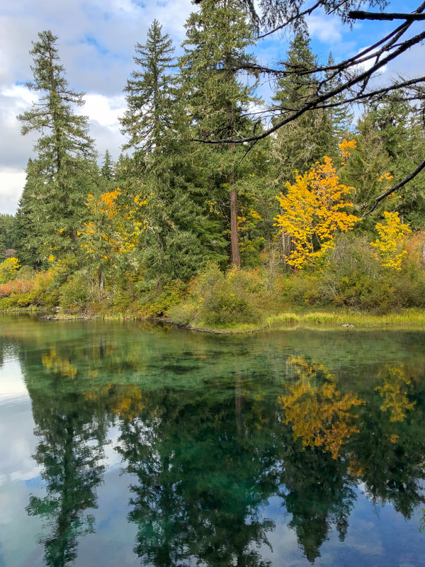 Best Fall hike Oregon Clear Lake Loop trail