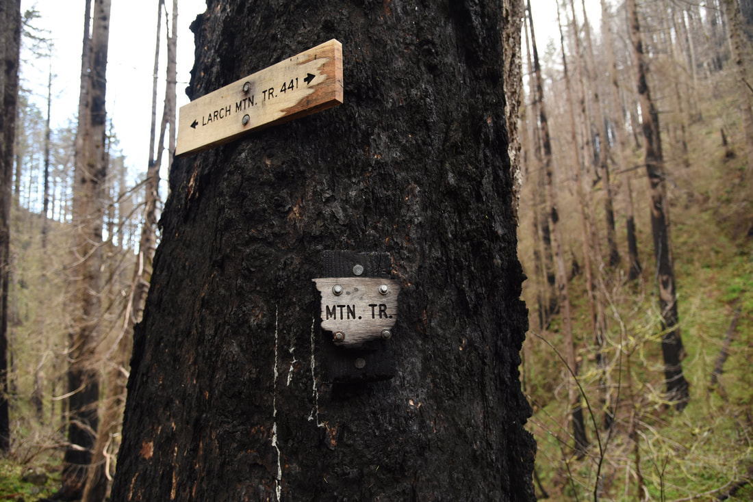 Burnt sign Columbia Gorge