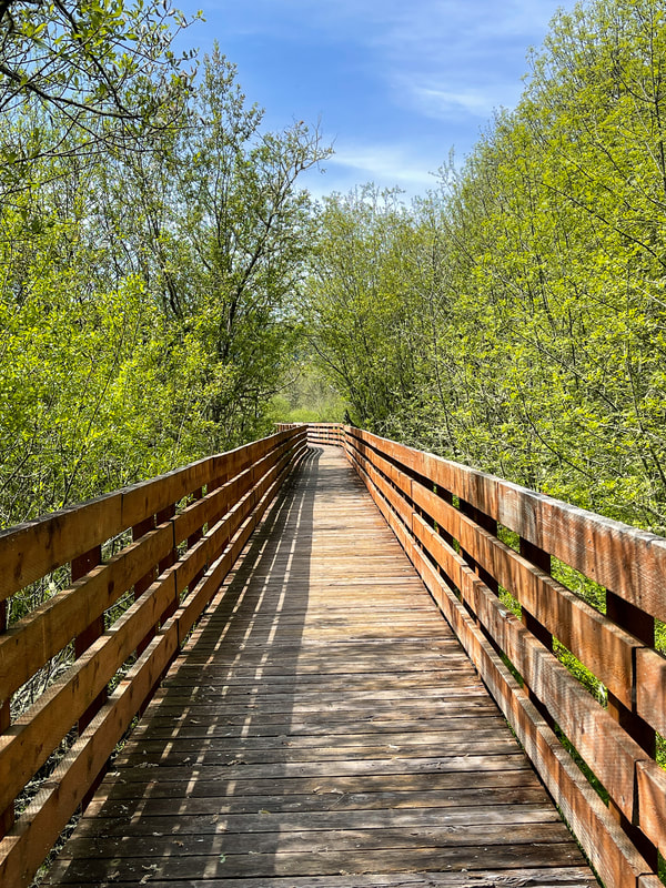 Campbell Boardwalk in May