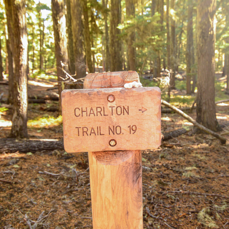 Charlton Lake Trail sign