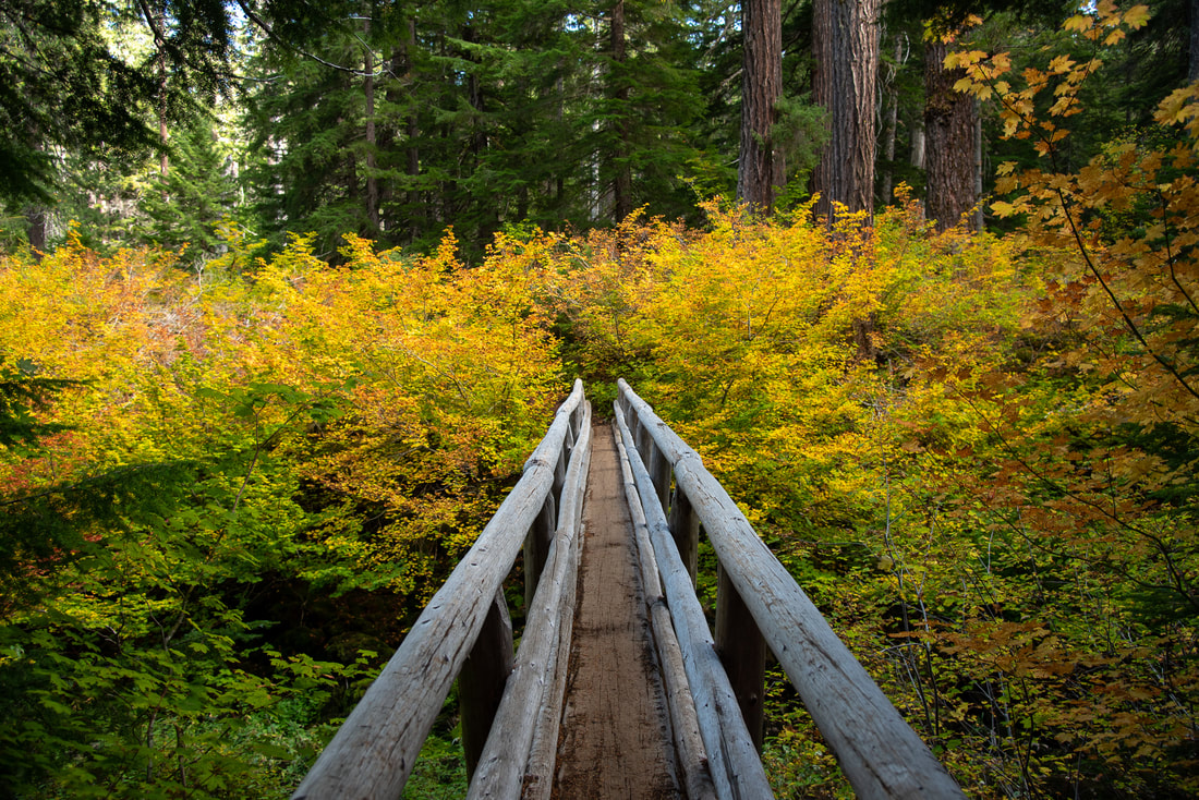 Clear Lake Bridge Best Fall foliage hike Oregon