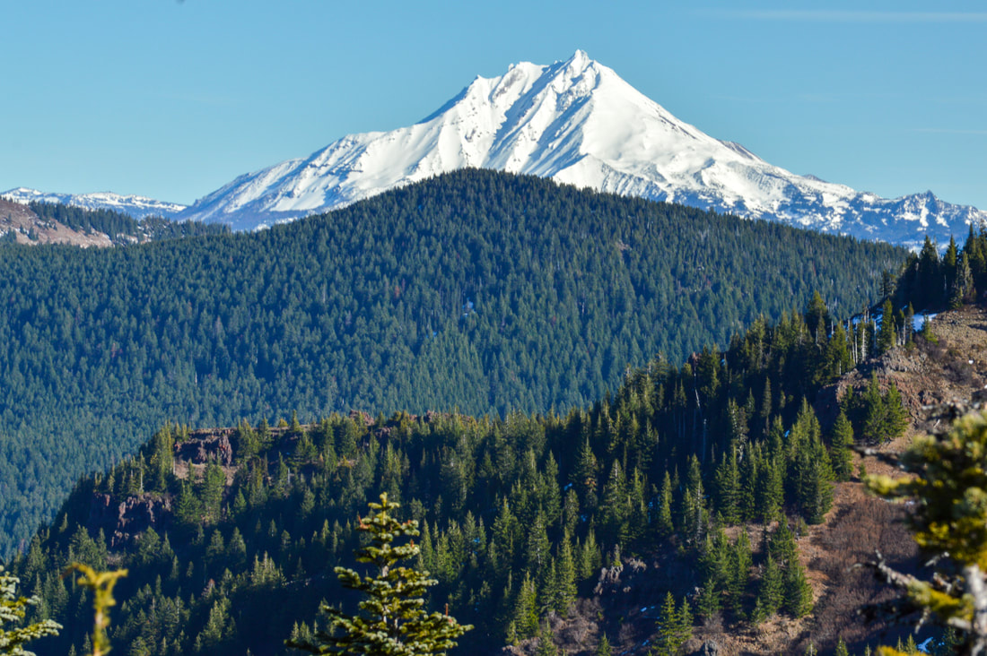 Mt. Jefferson from the Iron Mountain lookout platform