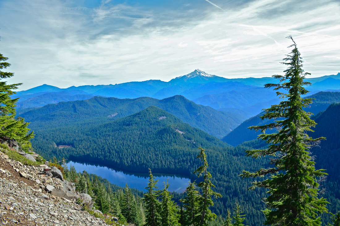 Mt. Jefferson and Elk Lake from Battle Axe trail