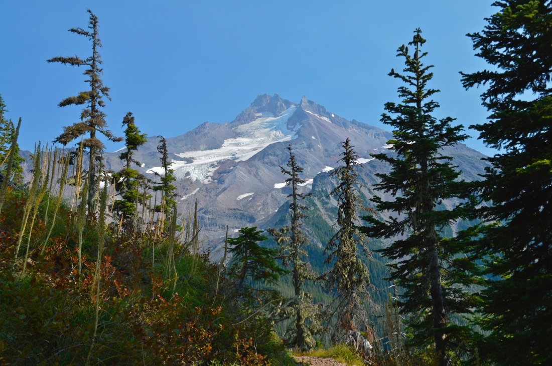 Mt. Jefferson from Whitewater Trail