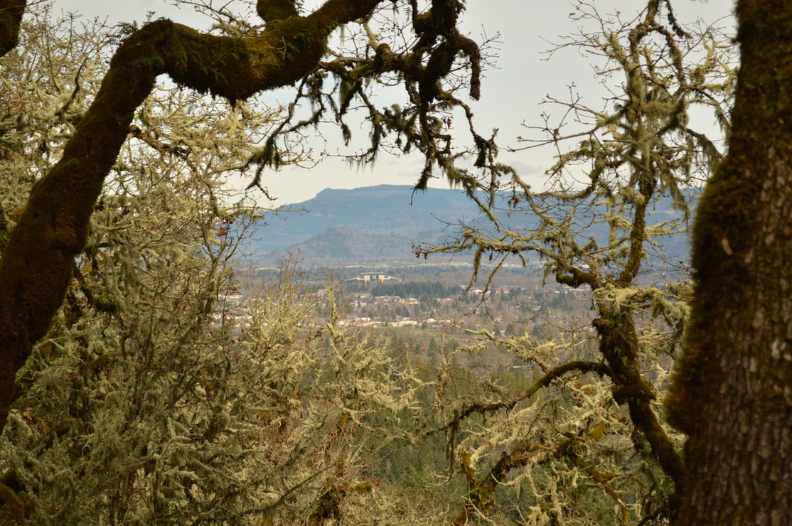 A view of the city of Eugene and Autzen Stadium from the Ridgeline Trail