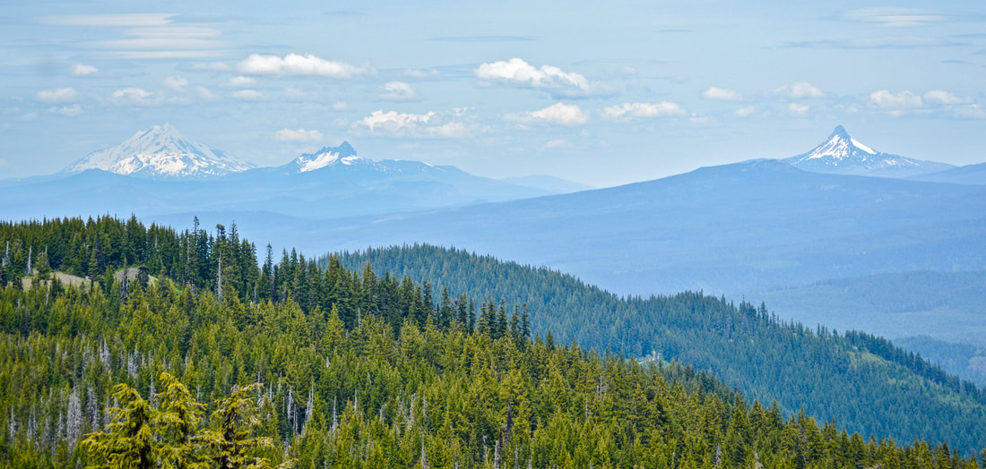 View of Mt. Jefferson, Three Finger Jack, and Mt. Washington from Olallie Mountain summit