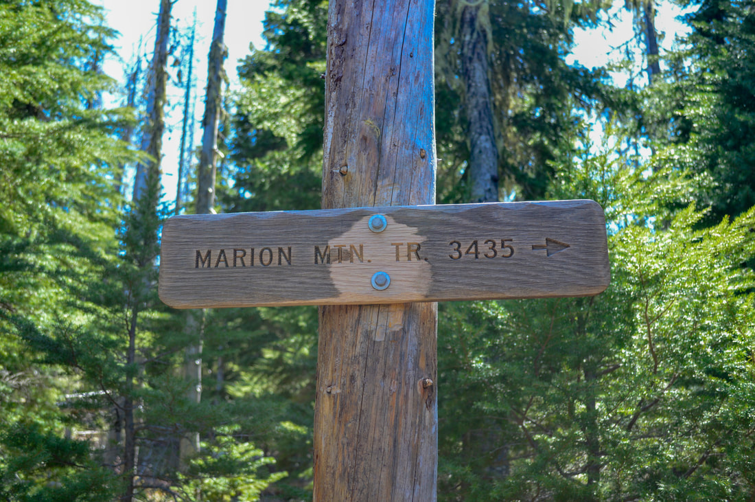 Marion Mountain trail sign