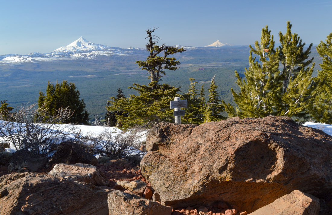 Mt. Jefferson and Mt. Hood from Black Butte