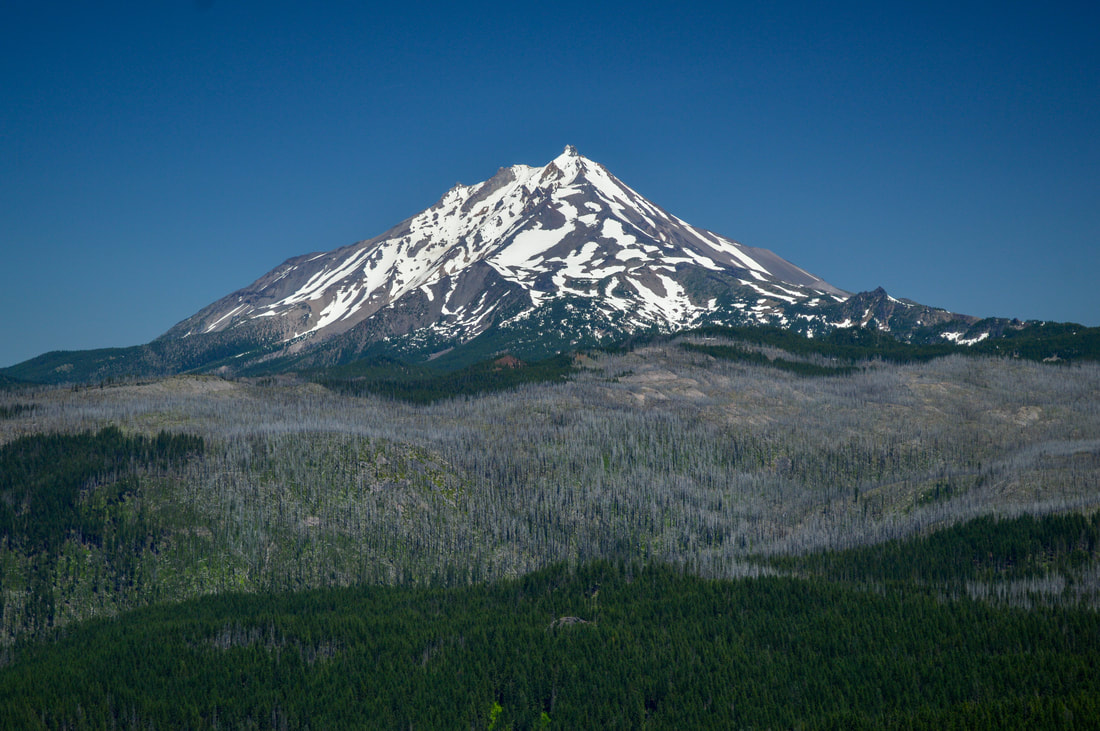Mt. Jefferson from Marion Mountain