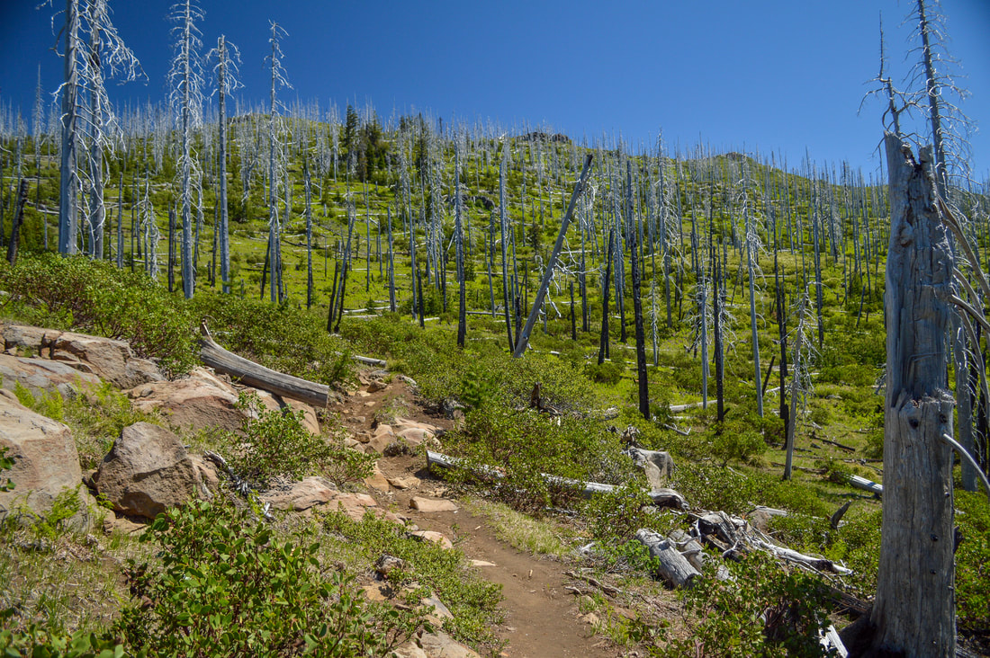 Old Summit Trail