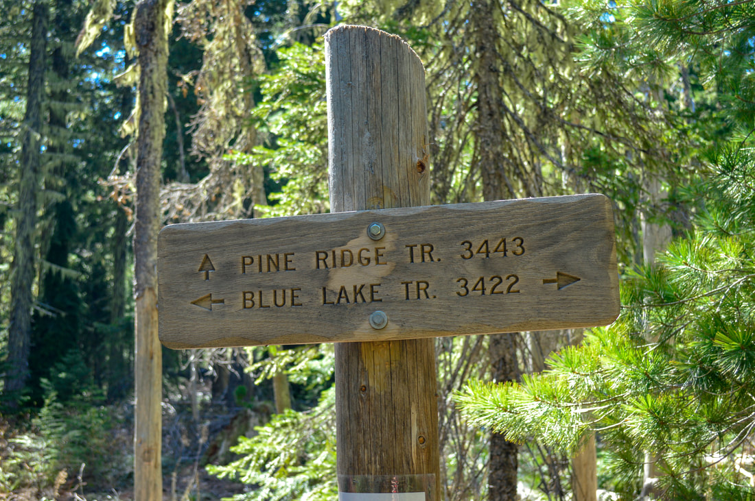 Pine Ridge trail sign