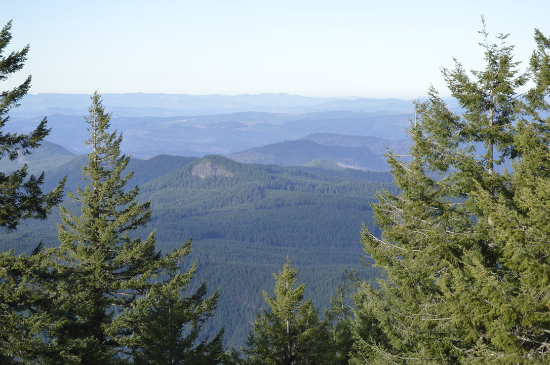 View into the Willamette Valley from the Mt. June trail