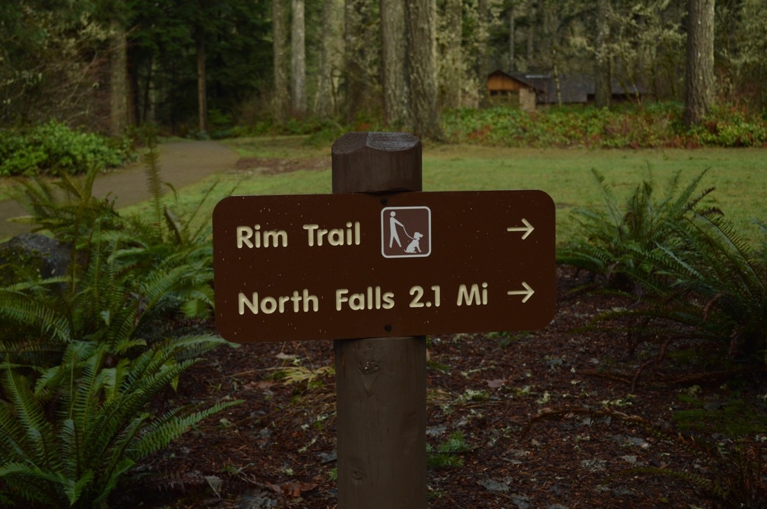 Silver Falls State Park start of Trail of 10 Falls 