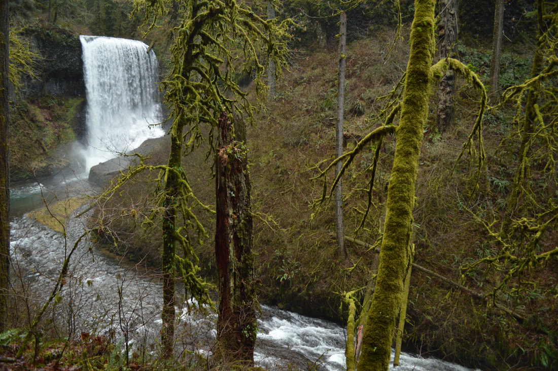 Top 10 Oregon winter hike Silver Falls