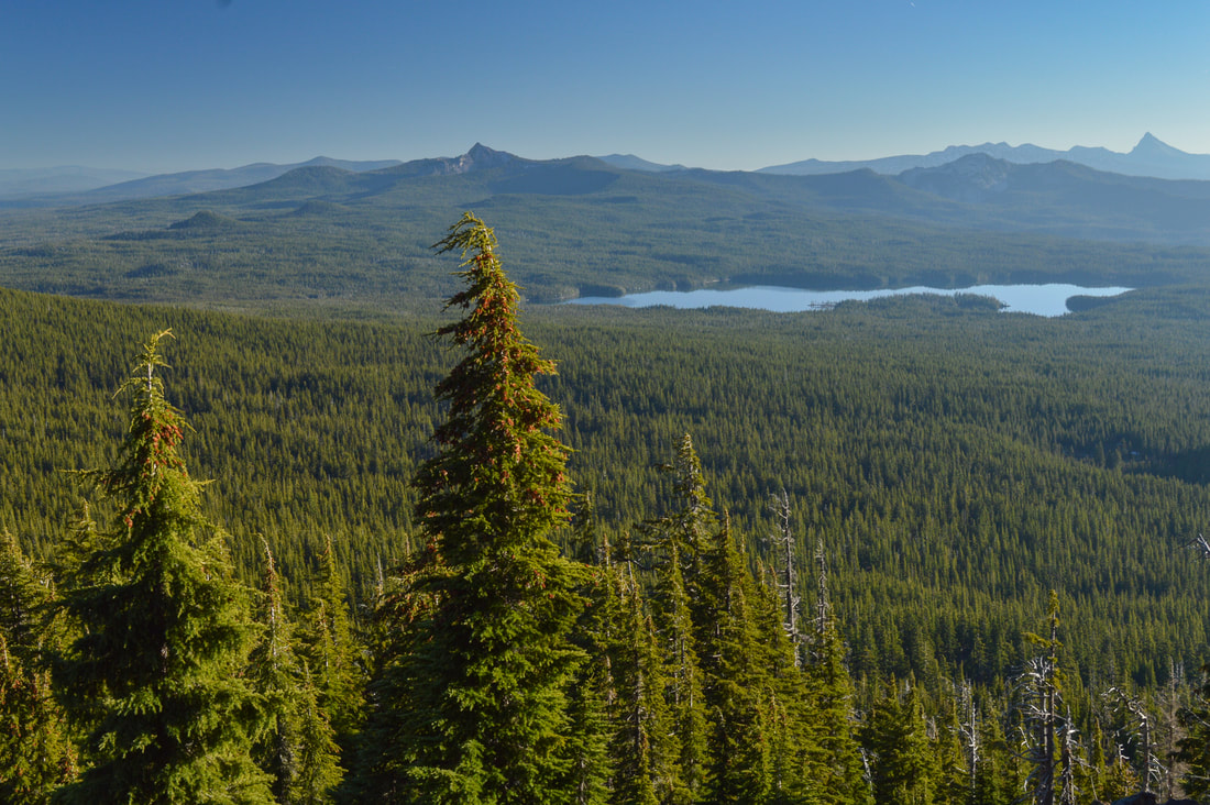 Summit Lake and Mt. Thielsen view from Diamond Peak.jpg