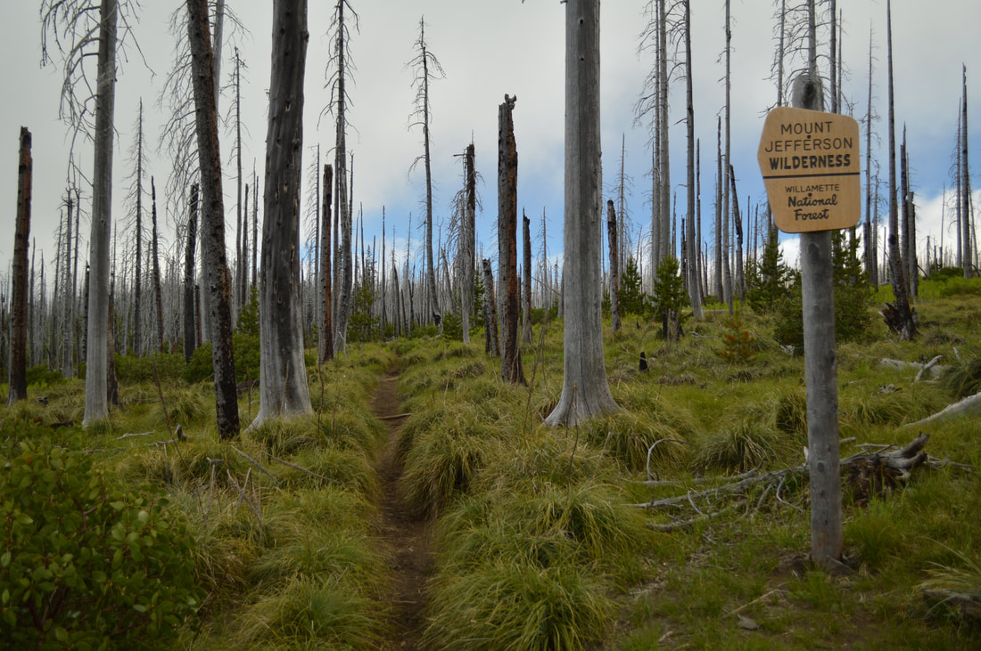 Three Fingered Jack Loop Mount Jefferson Wilderness sign