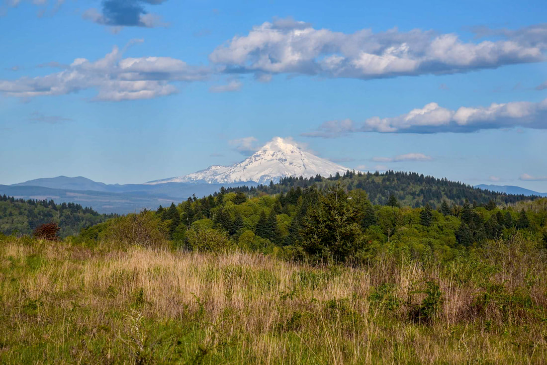 View of Mt. Hood from Powell Butte