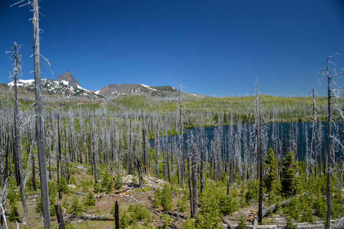 view of Square Lake and Three Fingered Jack