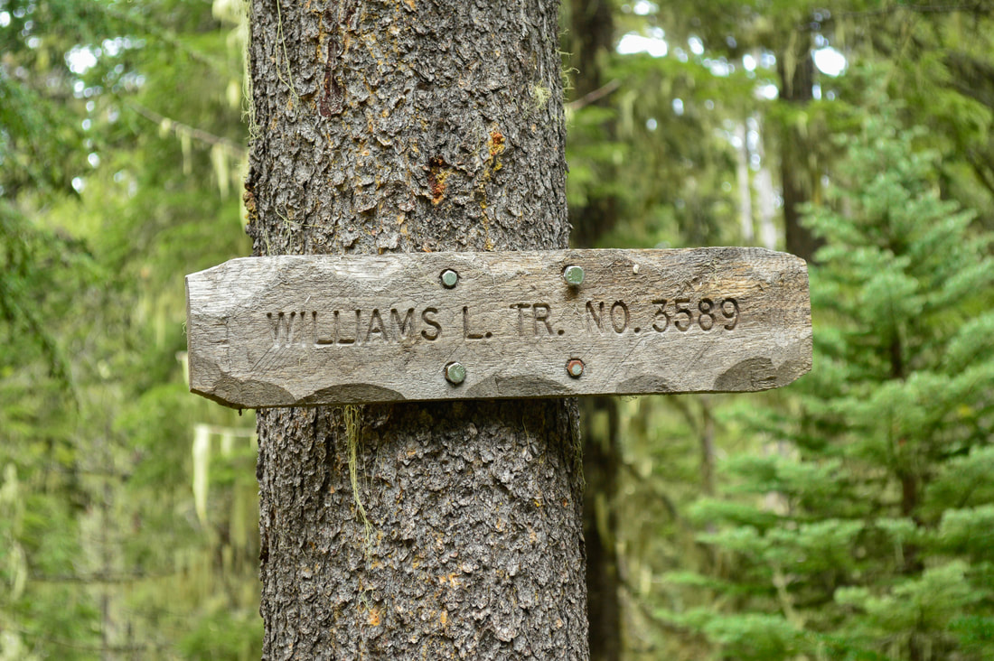 Sign for Williams Lake trail no. 3589