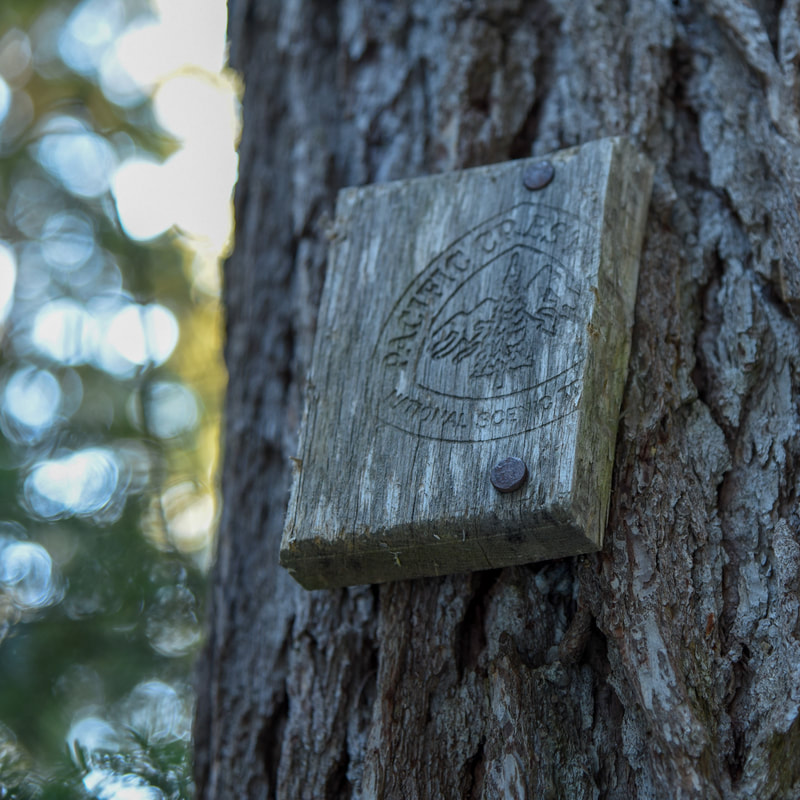 Wooden Pacific Crest Trail sign