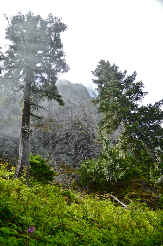 Tidbits Mountain, top 10 Oregon hikes for kids
