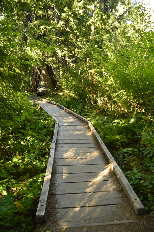 A man-made boardwalk along the Trillium Lake loop hike