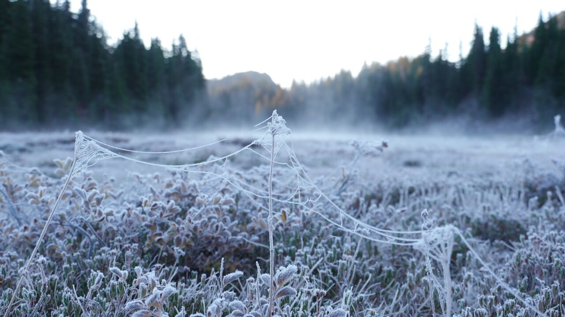Morning frost in the Table Lake Basin