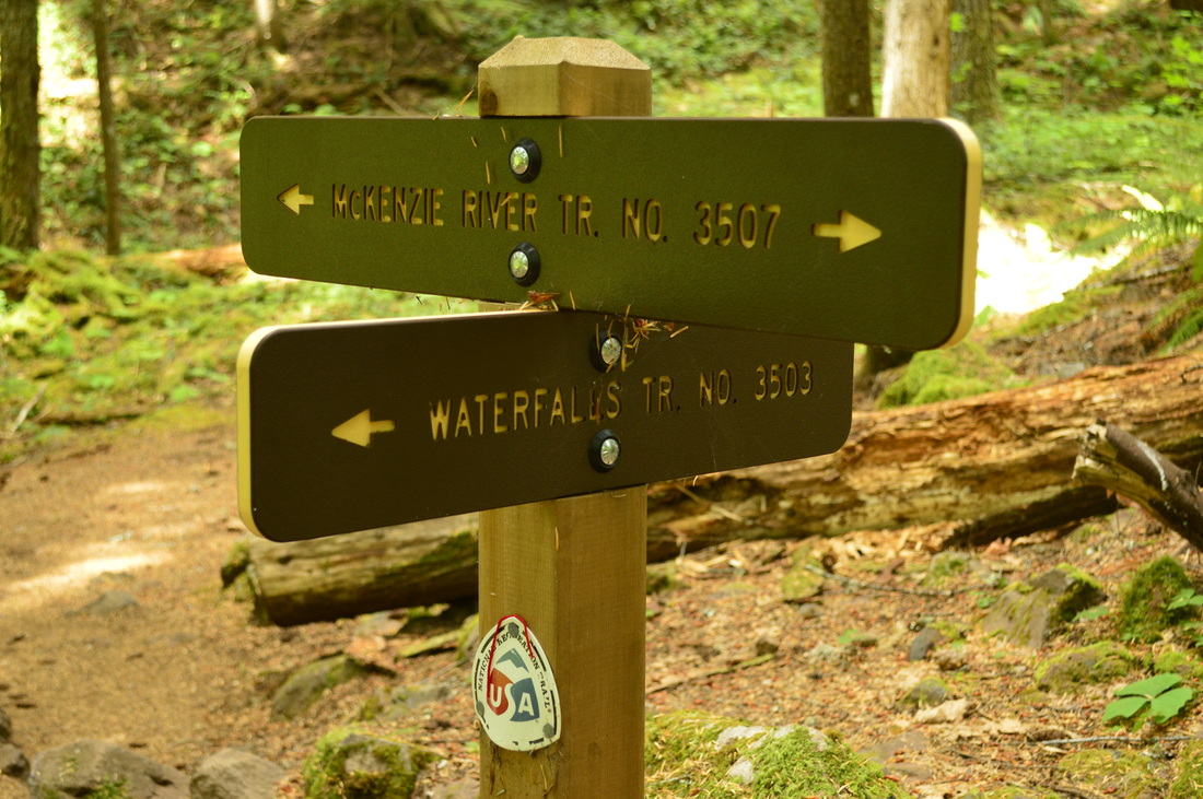 Trail sign along the McKenzie River trail and the Waterfall trail