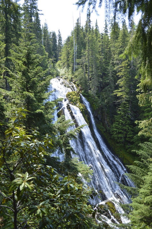 Diamond Creek Falls from the lookout platform