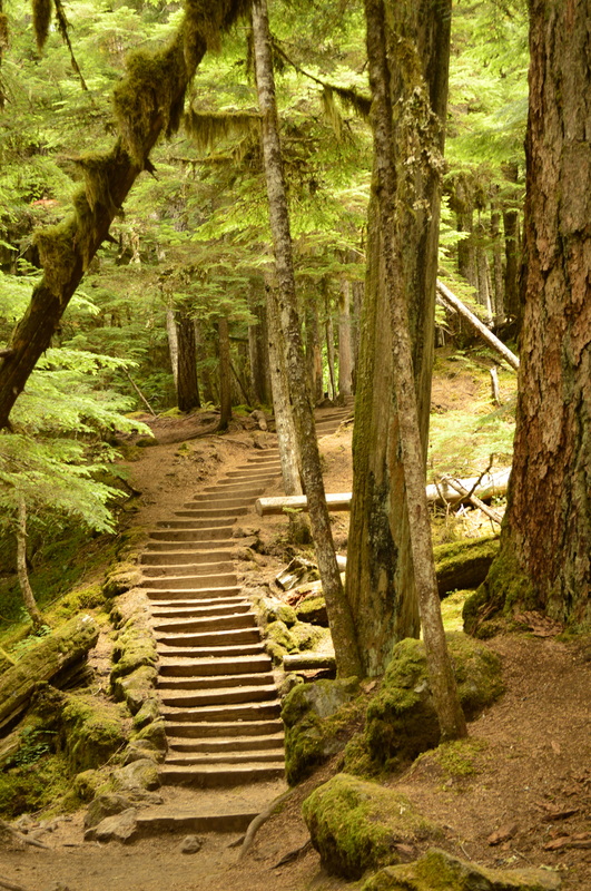 Stairs leading up the Waterfall trail