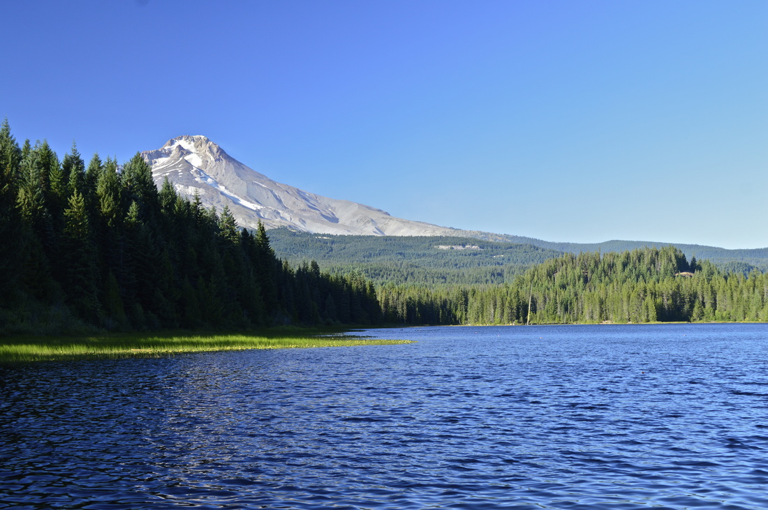 A view of Mt. Hood from the West side of Trillium Lake