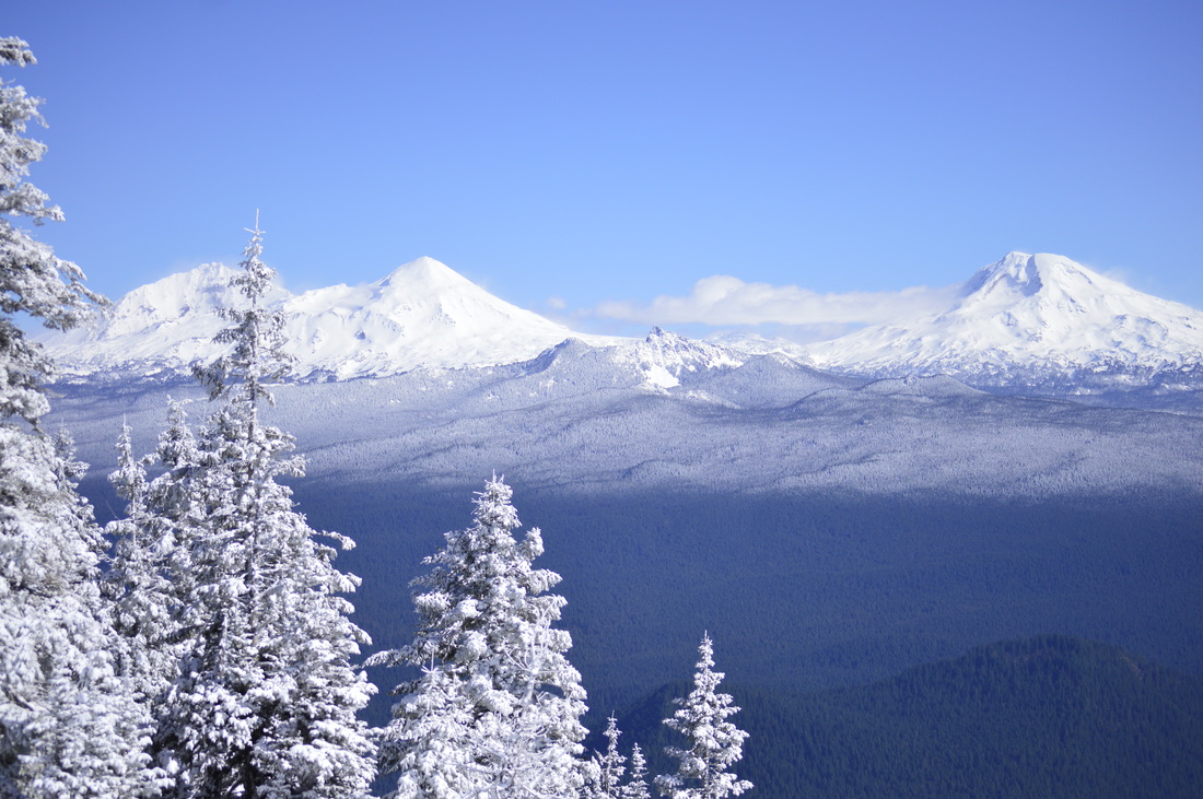 The top of Horsepasture Mountain, top 10 Oregon hikes for kids