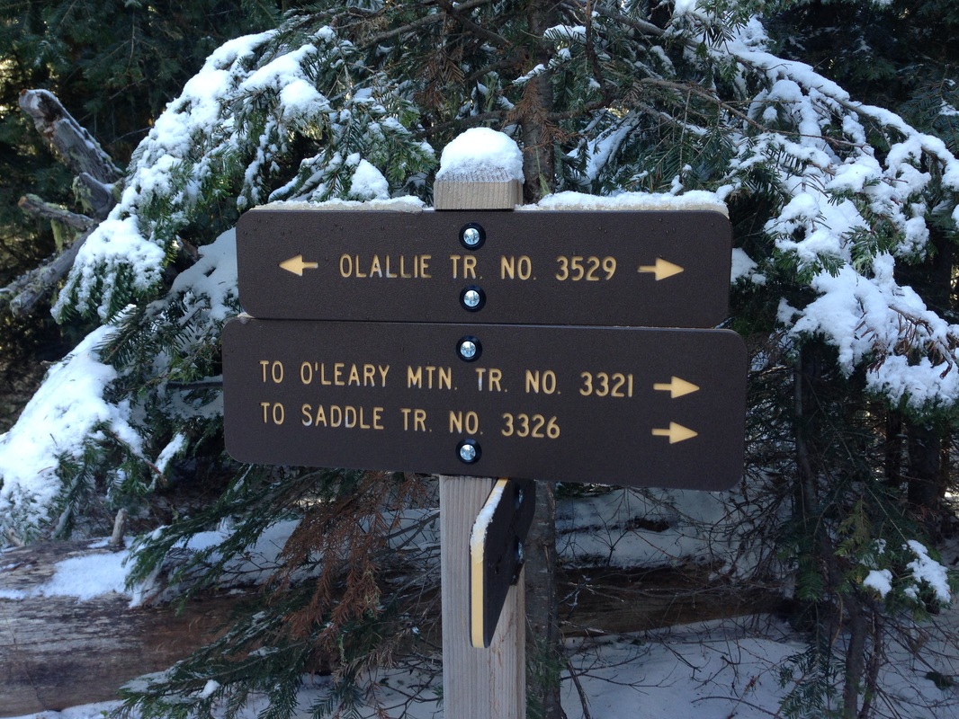 Lots of signs along Olallie Trail