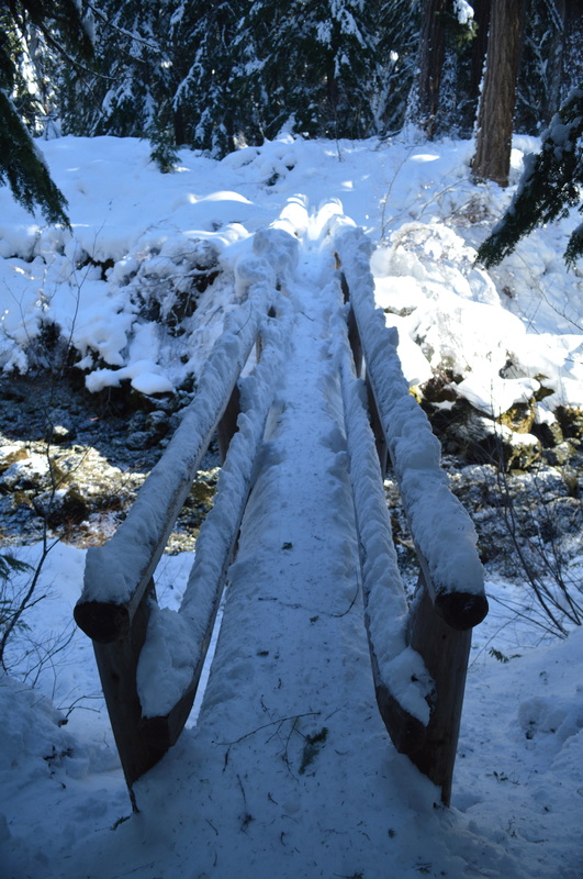 The bridge crossing Fish Lake Creek in winter along the Clear Lake hiking trail