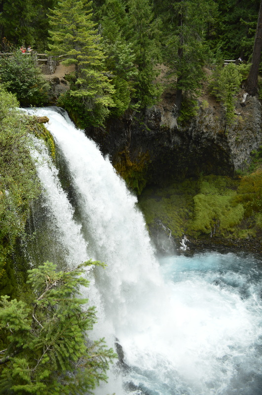 Koosah Falls from the McKenzie River trail