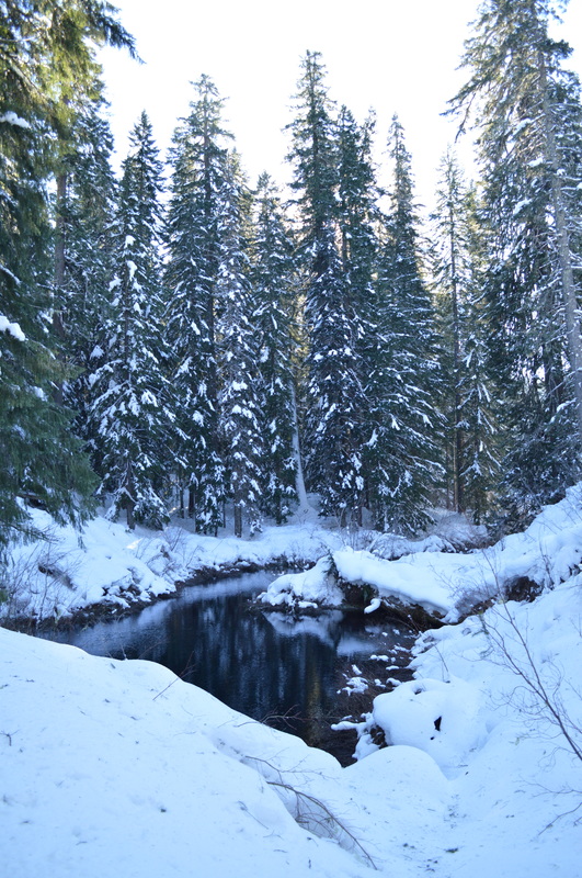 The Great Spring in winter along the Clear Lake hiking trail
