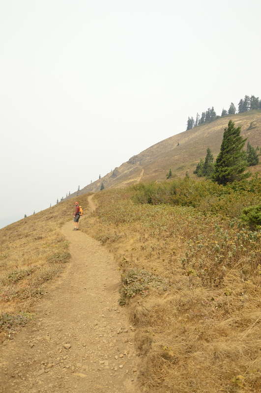The Dog Mountain trail