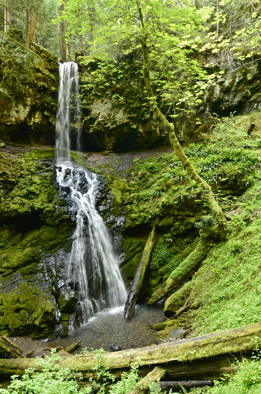 Trestle Creek Falls, top 10 Oregon hikes for kids