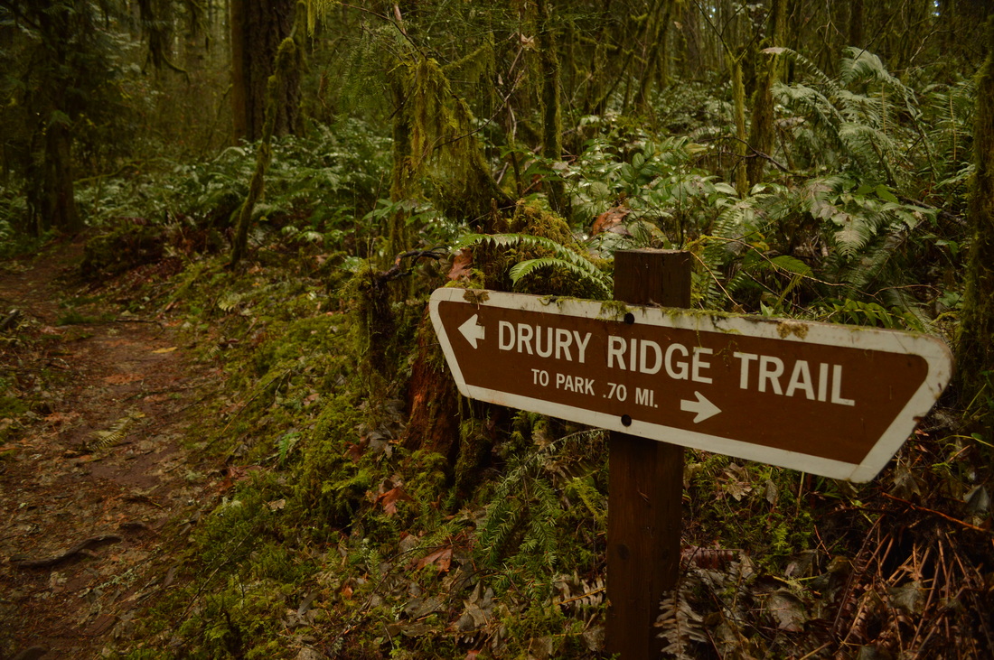 The sign for Drury Ridge trail at the Shotgun Creek recreation area