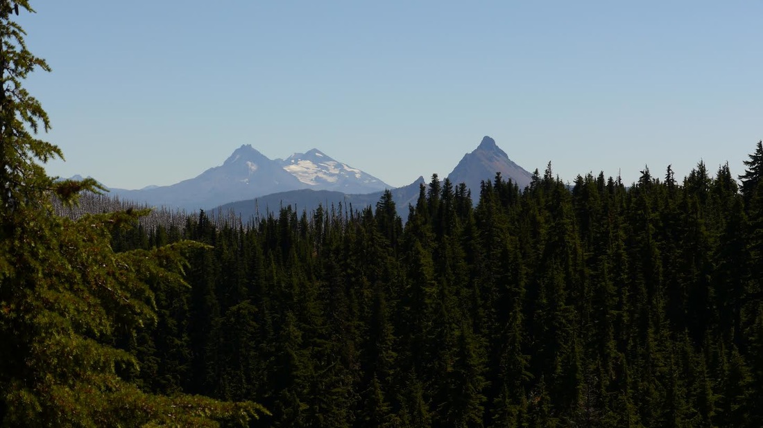 A view of Mt. Washington, Middle and North Sister from the hiking trail around Three Finger Jack