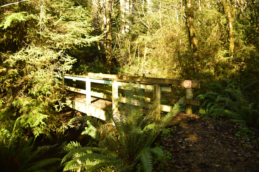 Bridge on the Oregon Coast trail