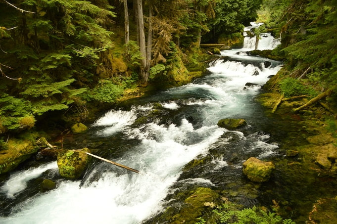 McKenzie River trail, best Oregon waterfall hikes