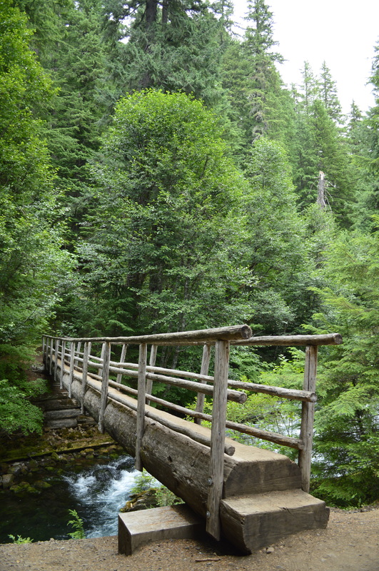 A log bridge crossing the McKenzie River